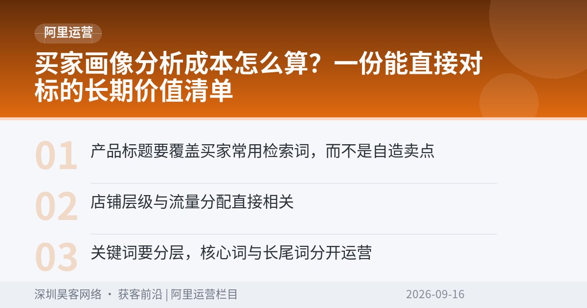 买家画像分析成本怎么算？一份能直接对标的长期价值清单