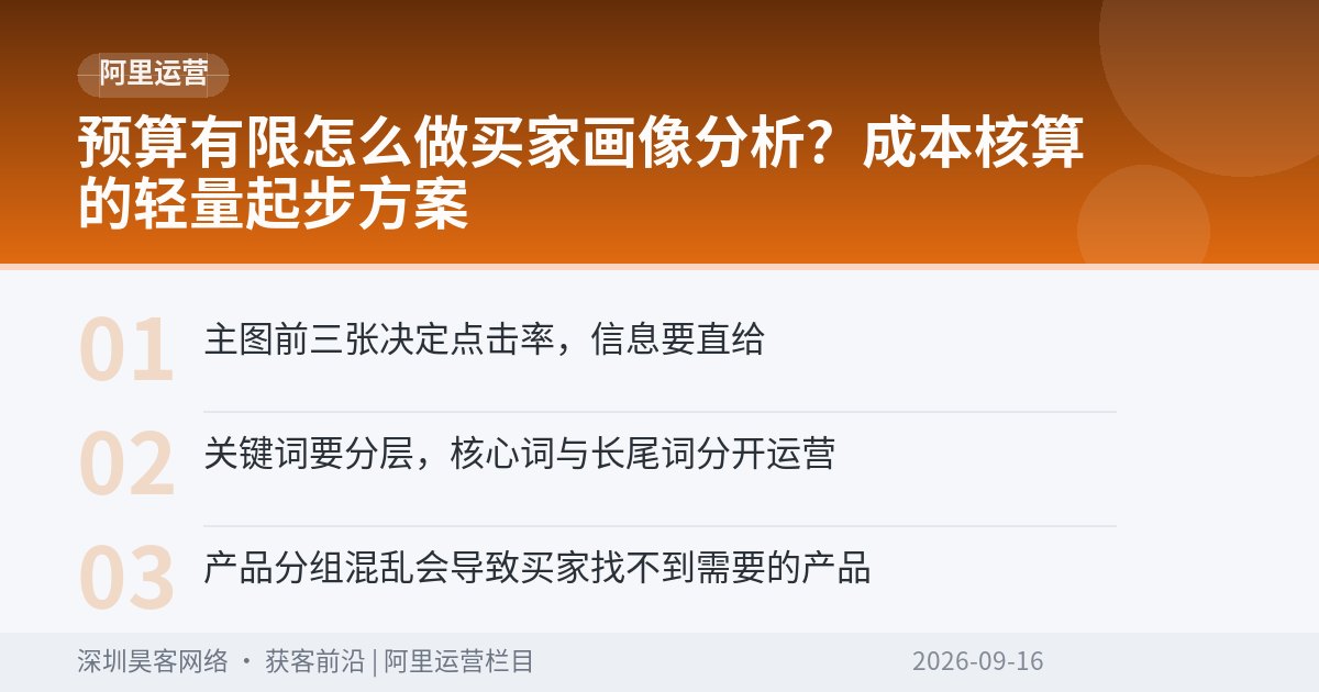 预算有限怎么做买家画像分析？成本核算的轻量起步方案