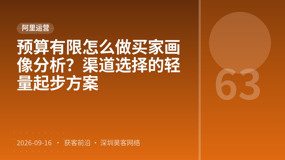 预算有限怎么做买家画像分析？渠道选择的轻量起步方案