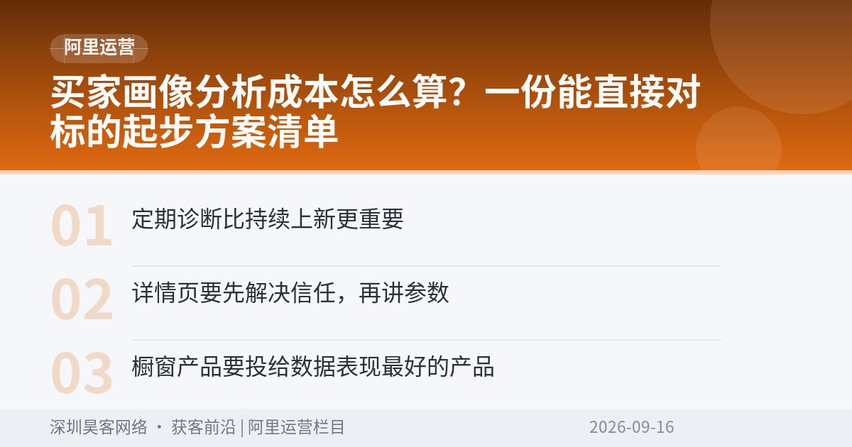 买家画像分析成本怎么算？一份能直接对标的起步方案清单