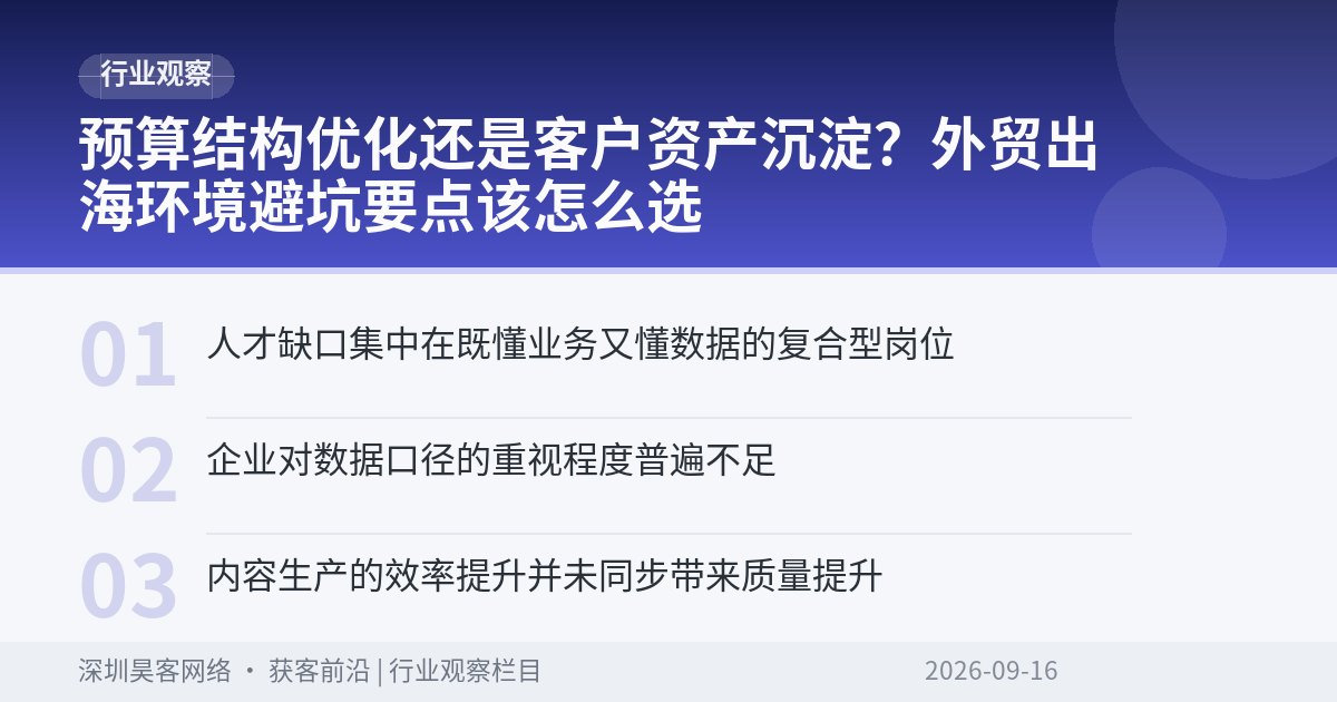 预算结构优化还是客户资产沉淀？外贸出海环境避坑要点该怎么选